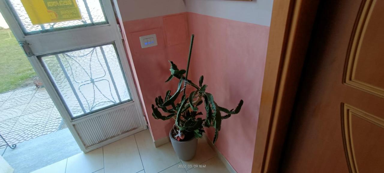 La Magnolia B&B Gassino Torinese Luaran gambar