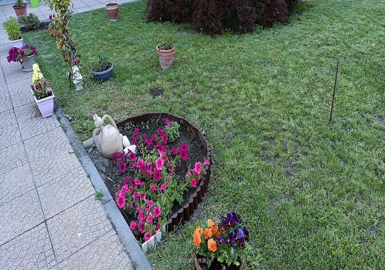 La Magnolia B&B Gassino Torinese Luaran gambar